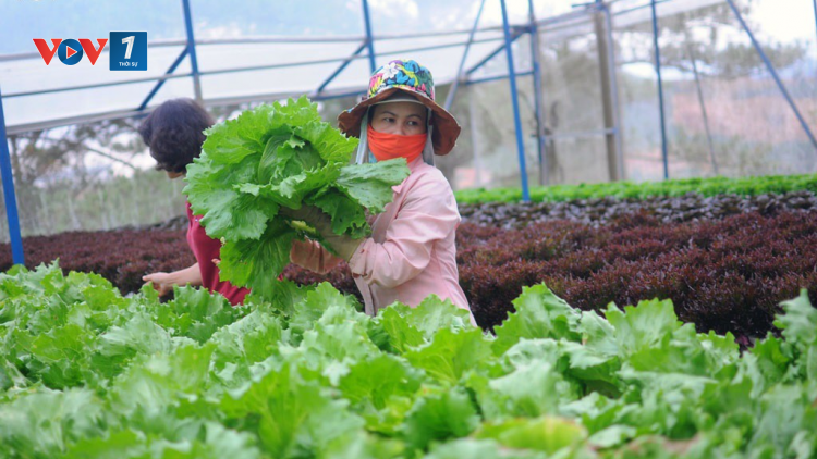 Giải pháp thúc đẩy sản xuất xanh