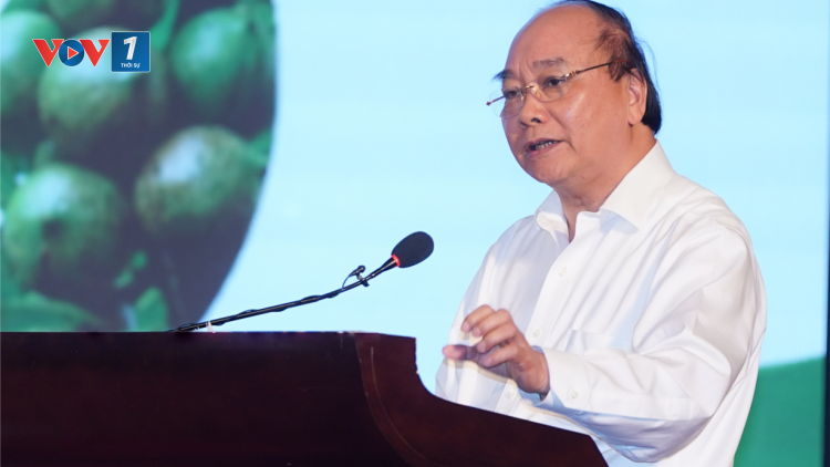 THỜI SỰ 18H CHIỀU 29/9/2020: Thủ tướng Nguyễn Xuân Phúc yêu cầu xác định rõ định hướng cho cây mắc ca.