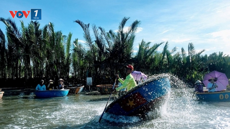 Thành phố Hội An mở cửa tham quan rừng dừa Bảy Mẫu - Cẩm Thanh (12/9/2020)