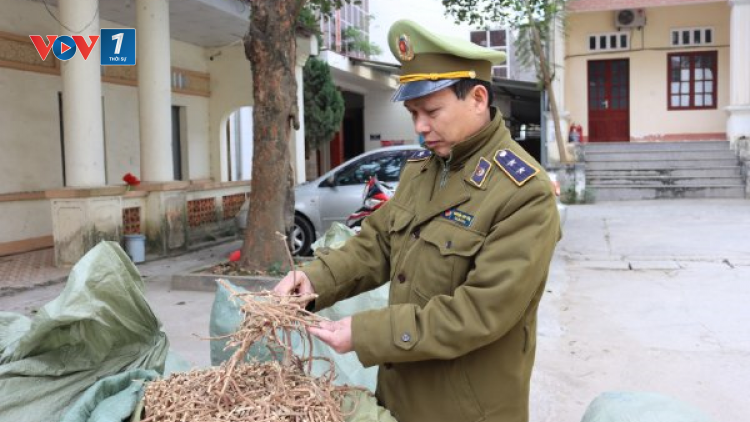 Lạng Sơn: Thu giữ gần 1 tấn nguyên liệu thuốc Bắc nhập lậu (14/1/2021)