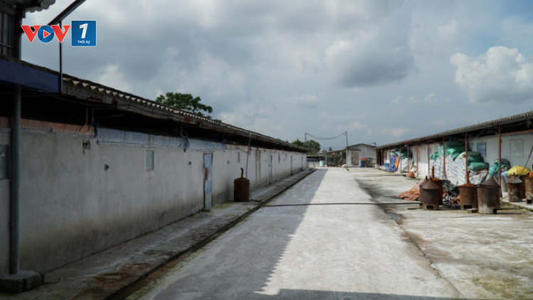 Phát triển mô hình trang trại: Hướng đi giảm nghèo bền vững ở Hải Phòng (05/11/2020)