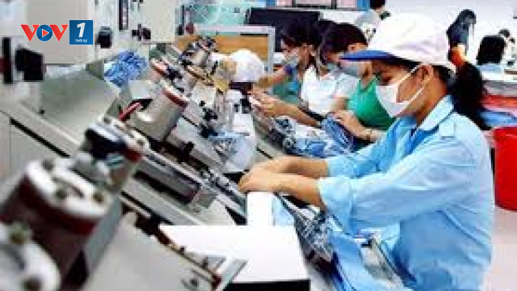 THỜI SỰ 18H CHIỀU 08/01/2021: Hơn 2 nghìn doanh nghiệp đăng ký thành lập mới ngay trong tuần làm việc đầu tiên của năm mới 2021