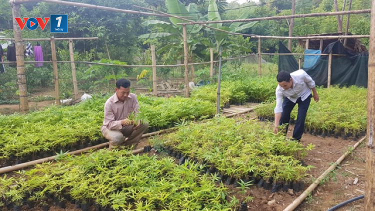 Hiệu quả từ mô hình hỗ trợ hộ cam kết thoát nghèo bền vững. (Thanh Hóa) (26/10/2020)