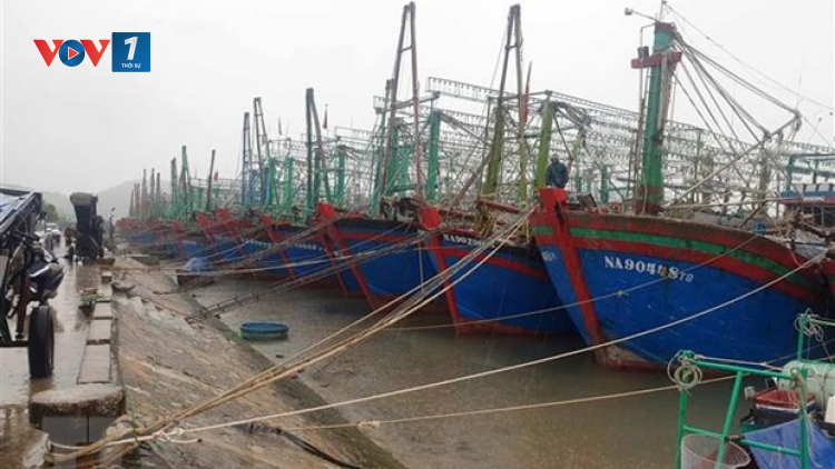 THỜI SỰ 21H30 ĐÊM 13/10/2021: Đêm nay, bão số 8 giật cấp 12 vào các tỉnh Bắc Trung Bộ, gây mưa lớn tại các tỉnh từ Thanh Hóa đến Quảng Trị