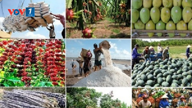 Loạt bài: Thay đổi tư duy kinh tế nông nghiệp - Đảng soi đường, dân thực hiện. <br> Bài 1: Nông nghiệp là trụ đỡ kinh tế - Khi khó khăn chồng lẫn khó khăn (29/10/2021)