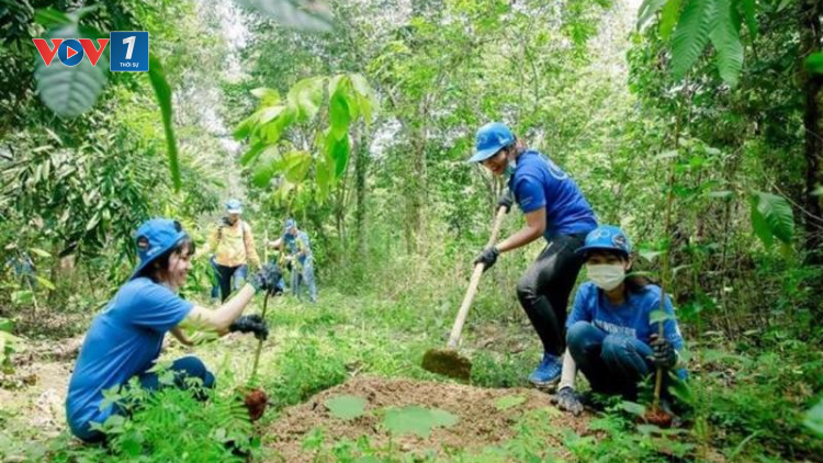Vì sao gần 3 triệu ha rừng vẫn chưa có chủ? (06/10/2021)