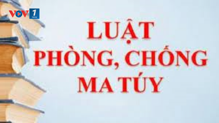 Ngành Hải quan tham gia xây dựng dự thảo Nghị định hướng dẫn thi hành Luật Phòng chống ma tuý 2021 (14/10/2021)