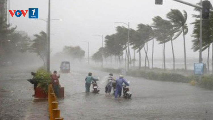 THỜI SỰ 12H TRƯA 14/10/2021: Áp thấp nhiệt đới suy yếu từ bão số 8 đang gây mưa lớn tại các tỉnh Bắc Trung bộ