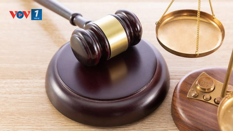 THỜI SỰ 21H30 ĐÊM 22/10/2021: Lần đầu tiên Việt Nam thu hồi được hơn 2 triệu USD tiền thi hành án từ nước ngoài