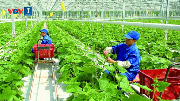 Bài cuối loạt bài “Thay đổi tư duy kinh tế nông nghiệp – Đảng soi đường, dân thực hiện” với nhan đề “Kết nối khát vọng Nông nghiệp Việt Nam” (31/10/2021)