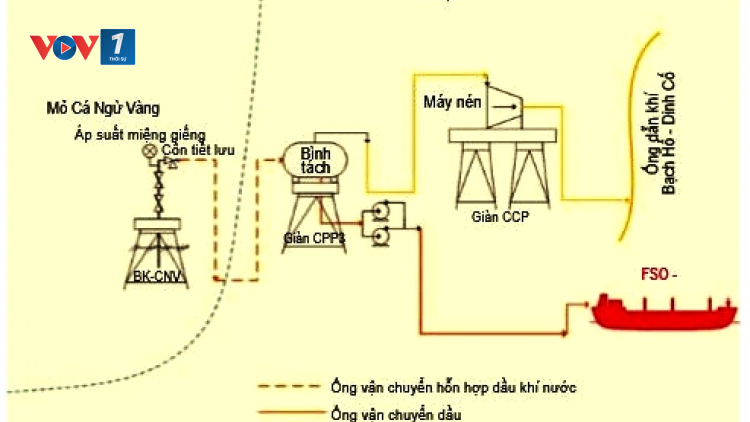Petrovietnam: Tiên phong phát triển khoa học công nghệ (18/05/2021)