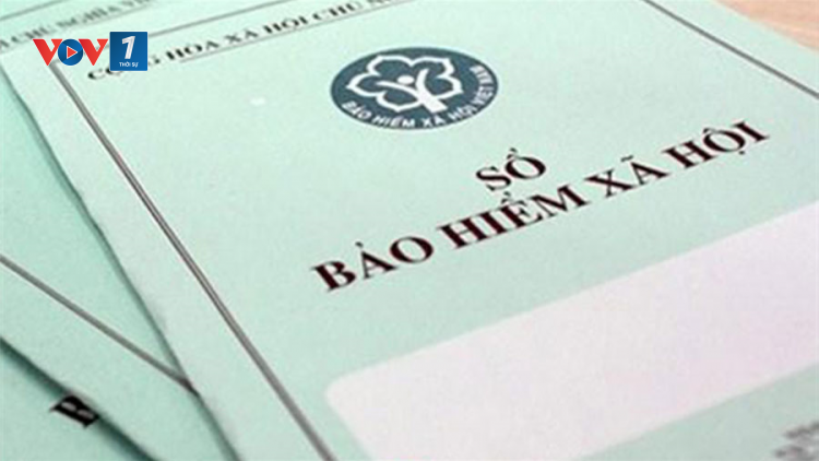 Vì sao người rút bảo hiểm xã hội một lần tăng cao? (29/11/2021)