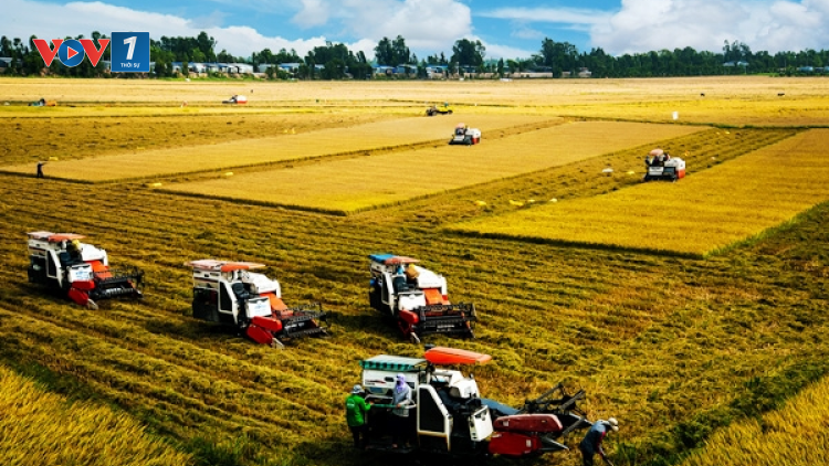 Hợp tác xã kiểu mới xây dựng chuỗi cung ứng nông sản làm “bà đỡ” cho nông dân (27/11/2021)