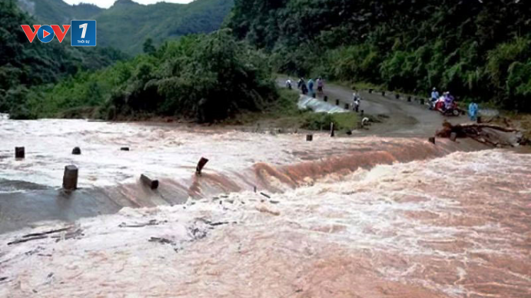 THỜI SỰ 12H TRƯA 2/11/2021: Cảnh báo sạt lở do mưa lớn tại các tỉnh miền núi phía Bắc