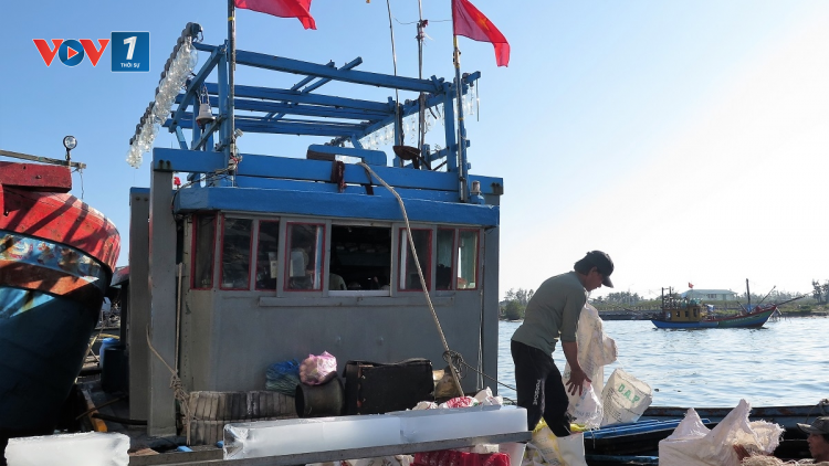 Ngư dân Quảng Ngãi chưa mặn mà với “Tàu 17” (29/11/2021)