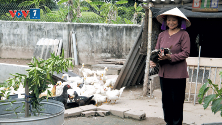 Tạo sinh kế cho người già neo đơn (02/11/2021)