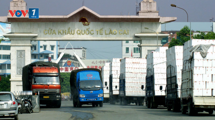 Thích ứng quy định mới trong xuất khẩu nông sản, thực phẩm vào thị trường Trung Quốc (10/11/2021)
