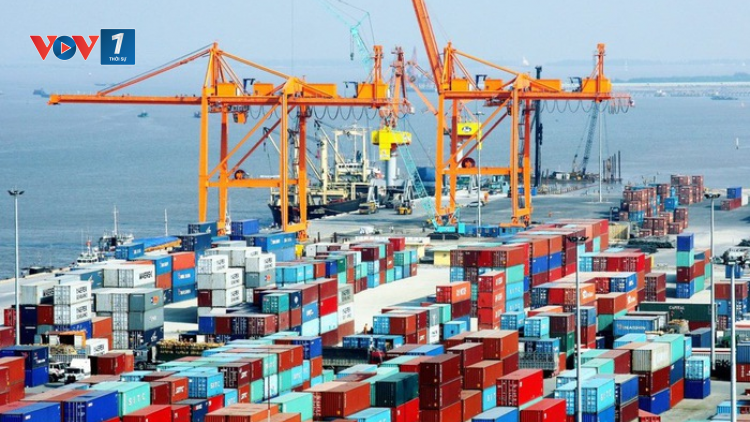 THỜI SỰ 12H TRƯA 21/11/2021: Kim ngạch xuất nhập khẩu năm nay được dự báo sẽ vượt mốc 600 tỷ USD