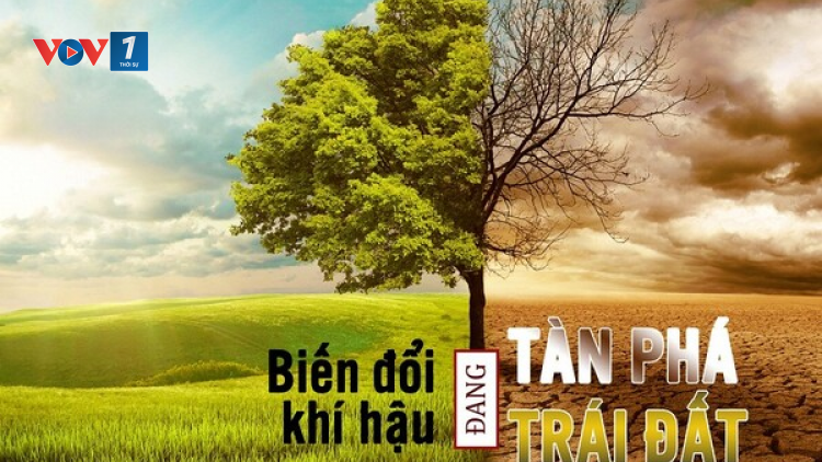 Đẩy mạnh các nghiên cứu mang tính dài hạn để ứng phó với biến đổi khí hậu (08/07/2021)