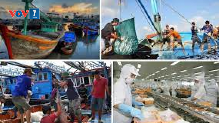 Cần mục tiêu dài hạn cho tăng trưởng bền vững (7/12/2021)