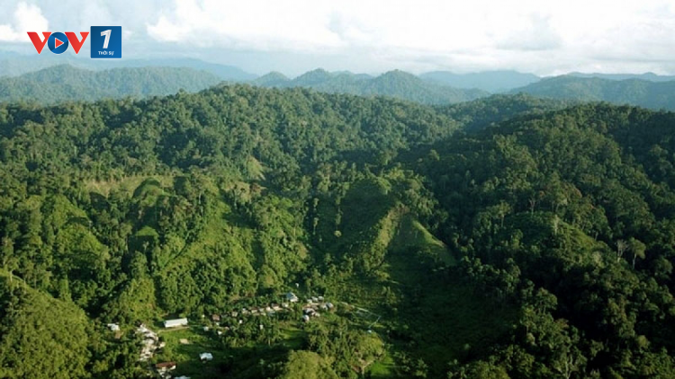 Thấy gì từ kế hoạch phát triển công nghiệp xanh của Indonesia? (1/12/2021)