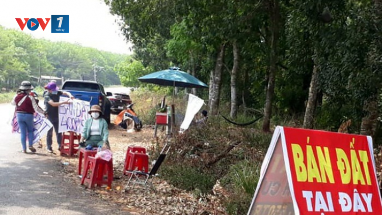 THỜI SỰ 21H30 ĐÊM 27/12/2021: Cảnh báo tình trạng sốt đất ảo tại một số địa phương