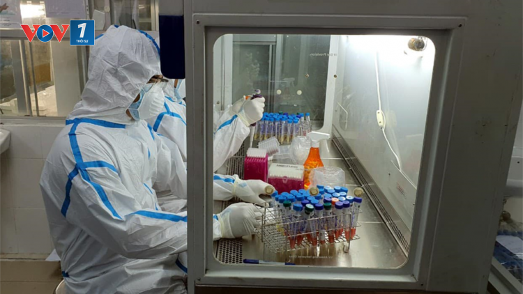 Thử nghiệm ban đầu vaccine COVIVAX có hiệu quả đối với virus biến chủng (27/2/2021)