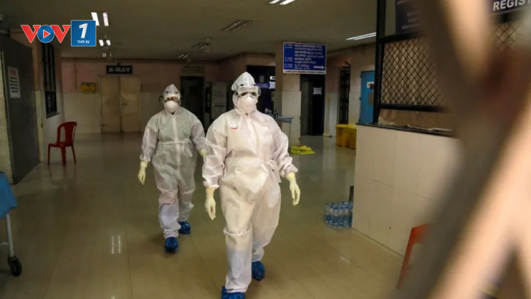 WHO cảnh báo bệnh truyền nhiễm do virus Nipah có tỷ lệ tử vong cao gấp 75 lần Covid-19 (27/02/2021)