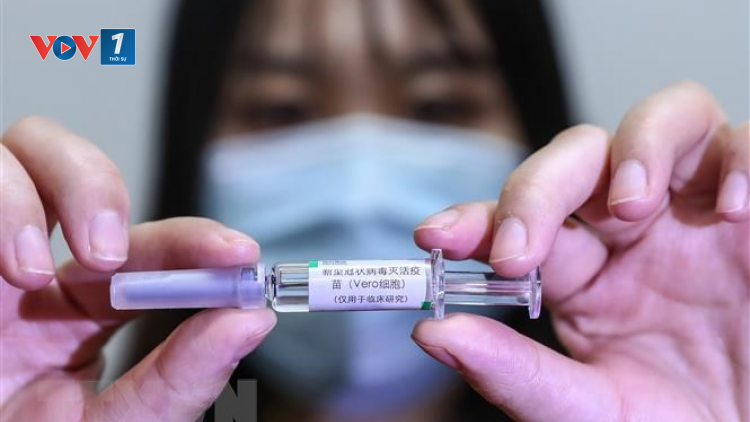 EU “bật đèn xanh” cho phương pháp điều trị Covid-19 bằng kháng thể (27/02/2021)