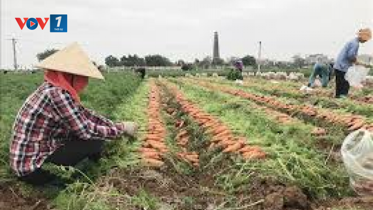 Phiên họp Hội đồng Bảo an ghi nhận sự thay đổi thái độ của Mỹ trong các vấn đề quốc tế (18/02/2021)