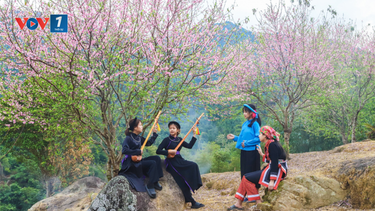 Con đường dệt nên mùa xuân biên thùy (13/2/2021)
