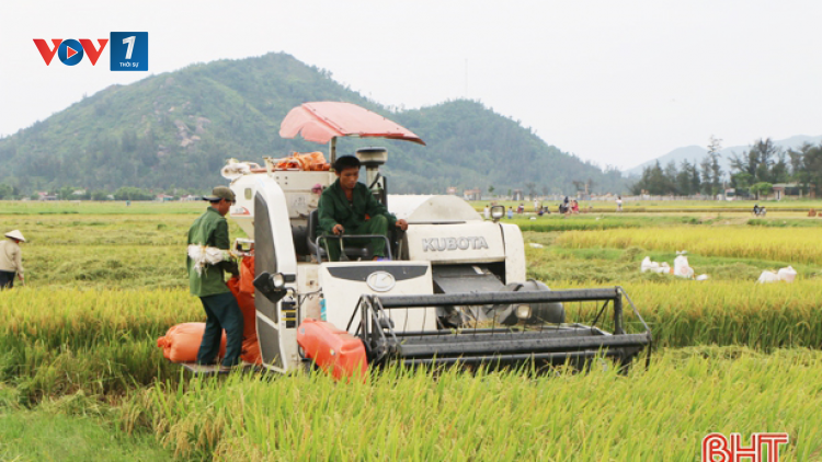 Hà Tĩnh định hướng phát triển kinh tế nông nghiệp giai đoạn 2021-2025 (19/02/2021)