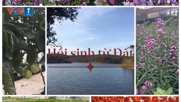 Hồi sinh từ Đất (Mùng 4 Tết - 15+16/02/2021)