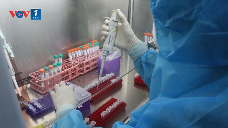 THỜI SỰ 18H CHIỀU 27/02/2021: Kết quả thử nghiệm ban đầu vaccine ngừa Covid-19 COVIVAX có hiệu quả đối với virus biến chủng