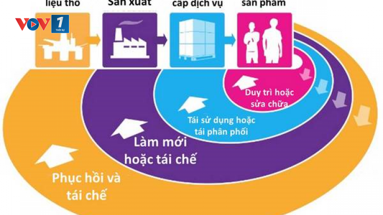 Việt Nam thúc đẩy kinh tế tuần hoàn trong thời kỳ mới (Ngày 03/02/2021)