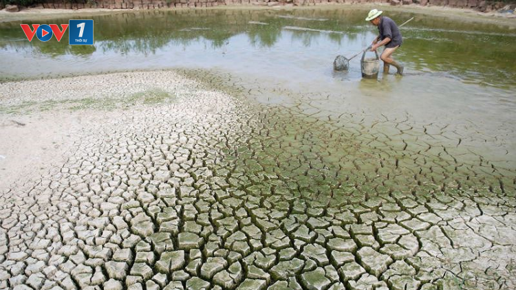 Đồng bộ các giải pháp ứng phó biến đổi khí hậu (10/03/2021)