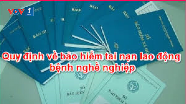 Bảo hiểm tai nạn lao động: Đem lại lợi ích thiết thực cho người lao động  (02/3/2021)