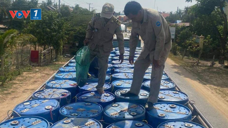 Campuchia: Siết chặt nhập khẩu cá từ nước ngoài (26/3/2021)