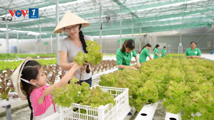 Những người phụ nữ nặng lòng với nông nghiệp sạch (08/03/2021)