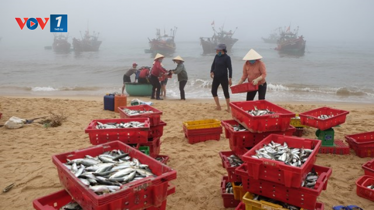 Ngư dân Quảng Bình vươn khơi đón lộc đầu năm ( 01+02/03/2021)