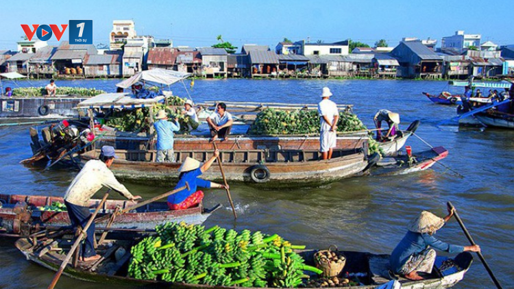 Phát triển bền vững ĐBSCL trước thách thức đa chiều (21/03/2021)