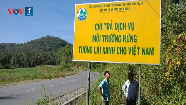 Phí dịch vụ môi trường rừng tái đầu tư cho người dân bảo vệ rừng (03/03/2021)