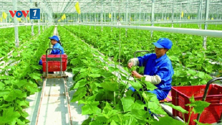 Đổi mới sáng tạo “mở đường” cho nông nghiệp bứt phá (13/04/2021)