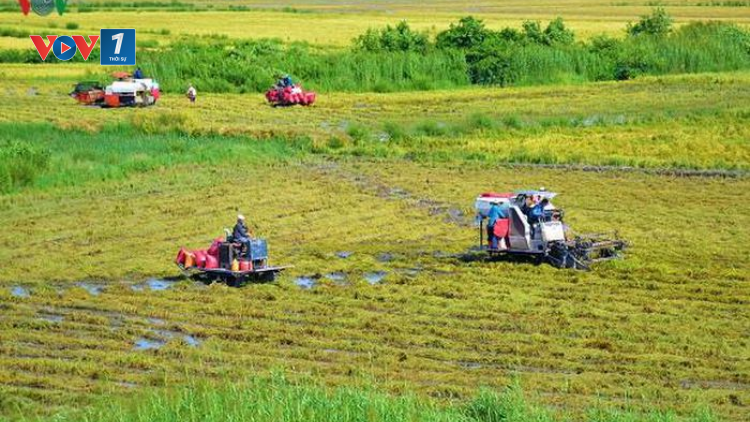Chuyển đổi cơ cấu sản xuất- nông nghiệp ĐBSCL thích ứng với biến đổi khí hậu (07/04/2021)