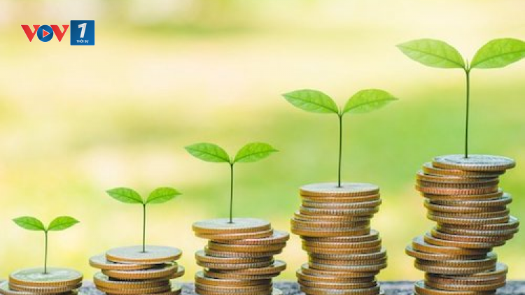 Cam kết trách nhiệm môi trường-xã hội của các ngân hàng đối với các chủ đầu tư còn mờ nhạt (28/04/2021)