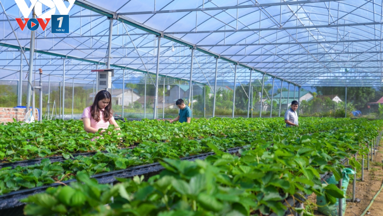 Thay đổi tư duy để xây dựng hệ sinh thái kinh tế nông nghiệp (20/04/2021).