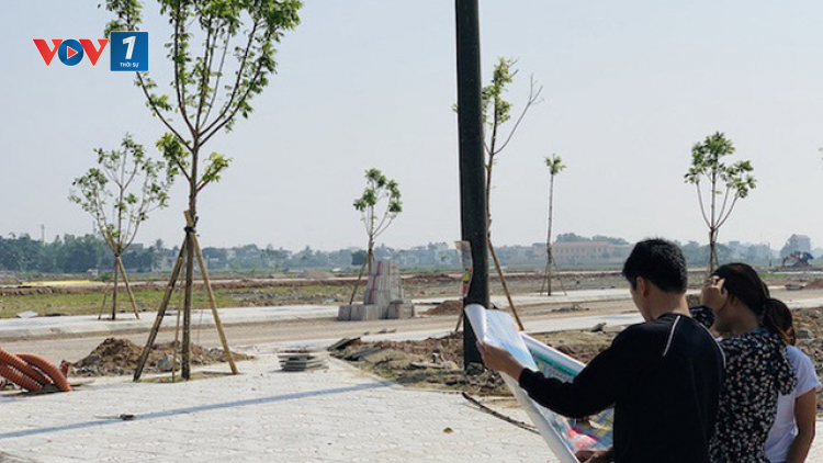 Thuốc nào để cắt cơn “sốt” đất? (08/04/2021)