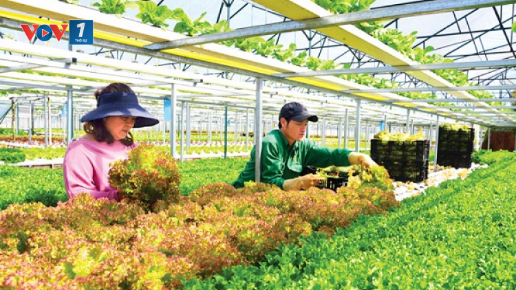 - Vì sao ngành nông nghiệp vẫn khó thu hút đầu tư (17+18/04)