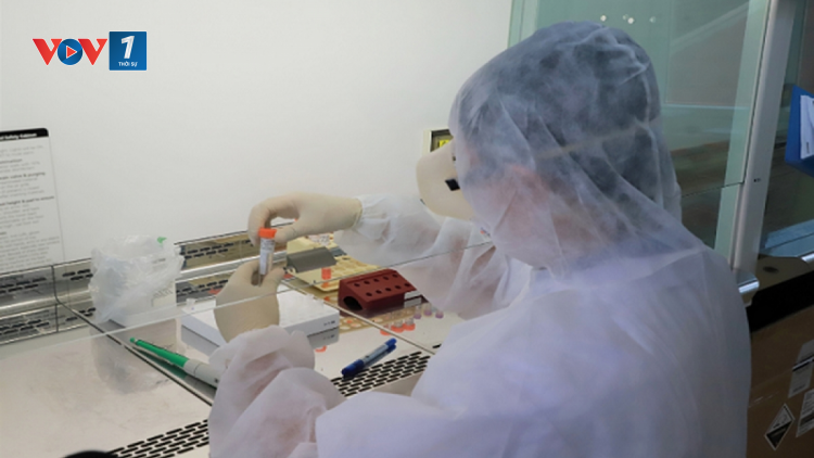 THỜI SỰ 21H30 ĐÊM: Phát hiện đột biến gene của virus trên 4 bệnh nhân mắc COVID-19 ở Việt Nam