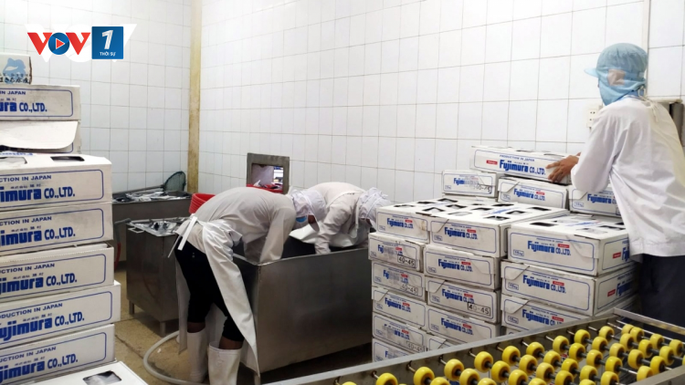 Vượt khó khăn, 4 tháng đầu năm nay xuất khẩu nông sản tăng trưởng mạnh (14/05/2021)